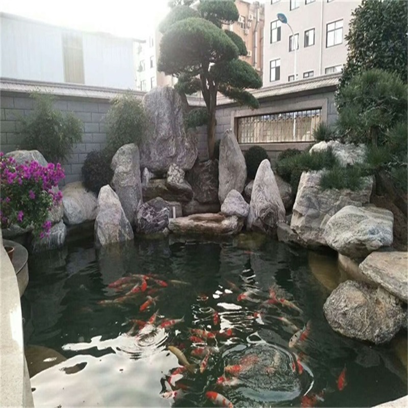 上海鱼池改造过滤方法